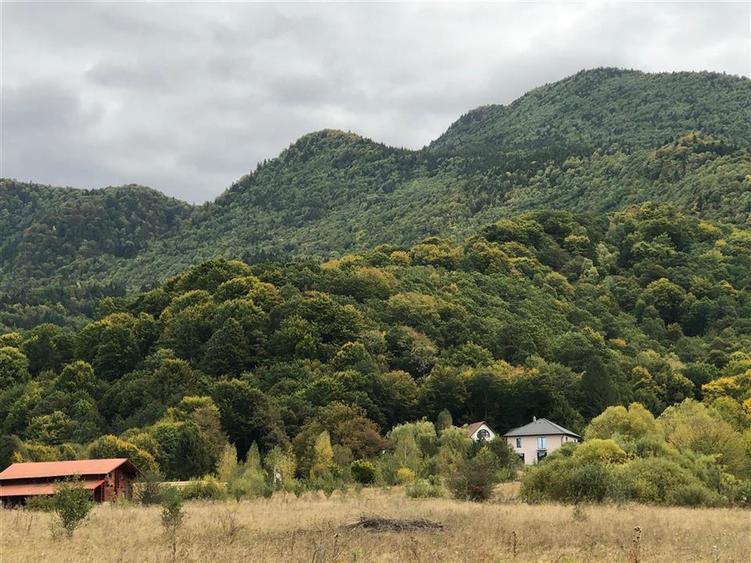 Vila premium cu lac privat si panorama catre Masivul Postavaru | Cheile Rasnoave
