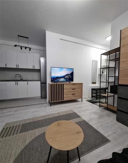 Apartament 1 camera Tatarasi
