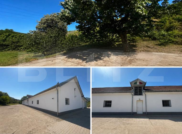 Hale de vanzare, teren intravilan, 938 mp, zona Bejan