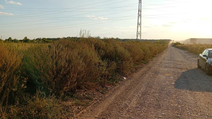 Sos de Centura  Pantelimon  - DJ 300  Vanzare Teren extravilan