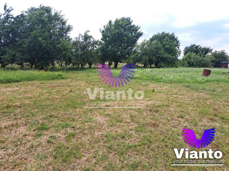 Teren intravilat| Zona rezidentila 1156 mp-TURNISOR