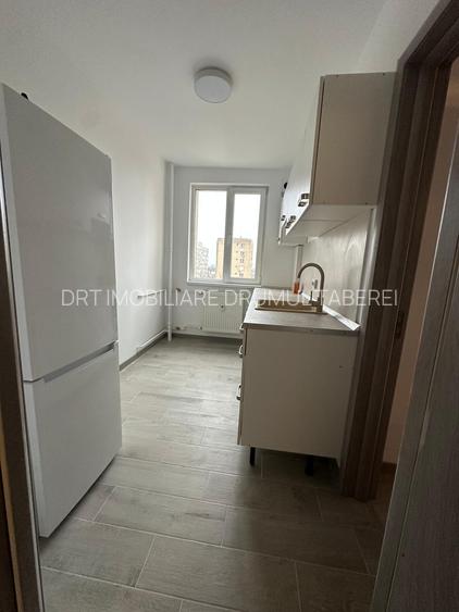 Drumul Taberei Raul Doamnei 2 camere renovat total - 3