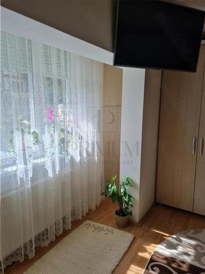 Apartament 1 camera-Lipovei