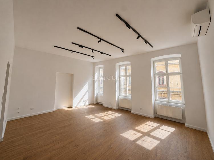 Direct proprietar | Birouri de inchiriat ultracentral – Timisoara, Str. L. Blaga - 2