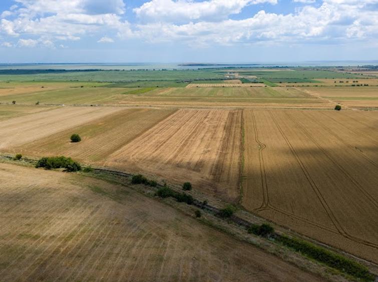 Vând teren agricol la șosea de 30.000mp în Iazurile comuna Valea Nucarilor