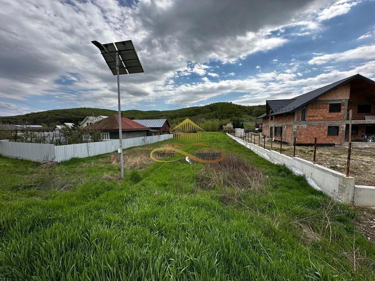 Teren intravilan de vanzare 2900 mp Luncani Bacau