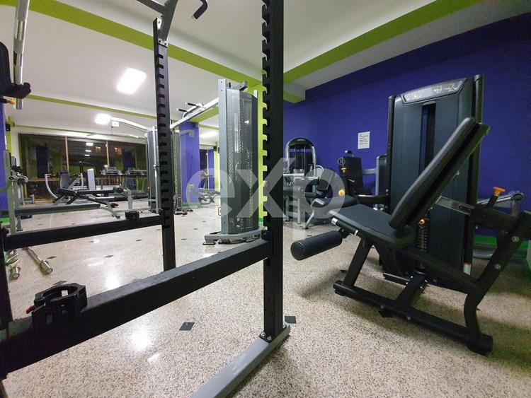 Sala de forta de vanzare in Berceni