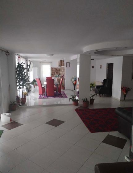 Spatiu comercial 420 mp, langa Termocentrala Mintia