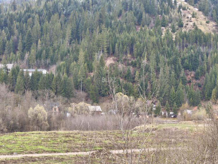Teren intravilan, 22600mp, zona Manastirea Sucevita - 4
