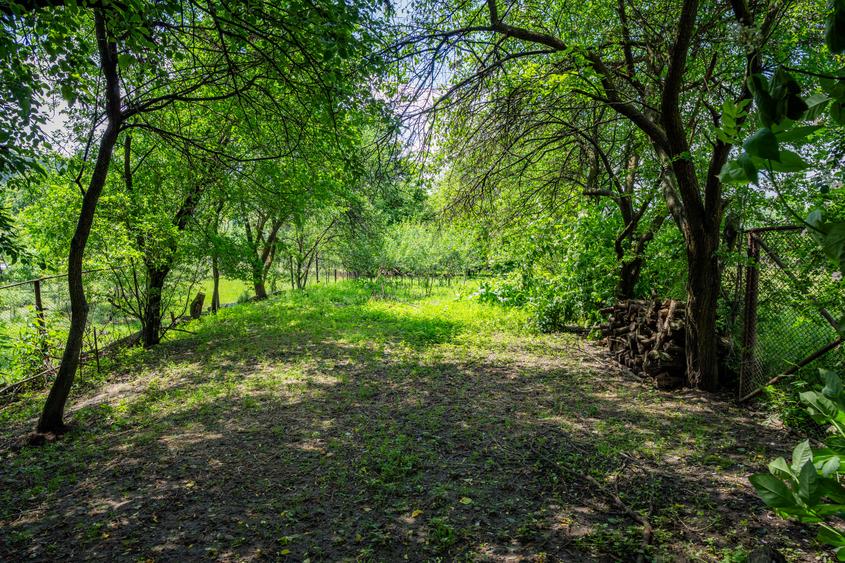 Casă locuibilă în Dărmănești — 50.000 €