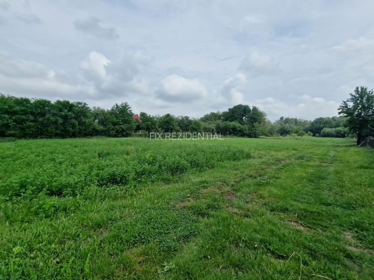 Casa la 5 km de Targu-Neamt - cu iaz si livada matura - gata pentru mutat - 13