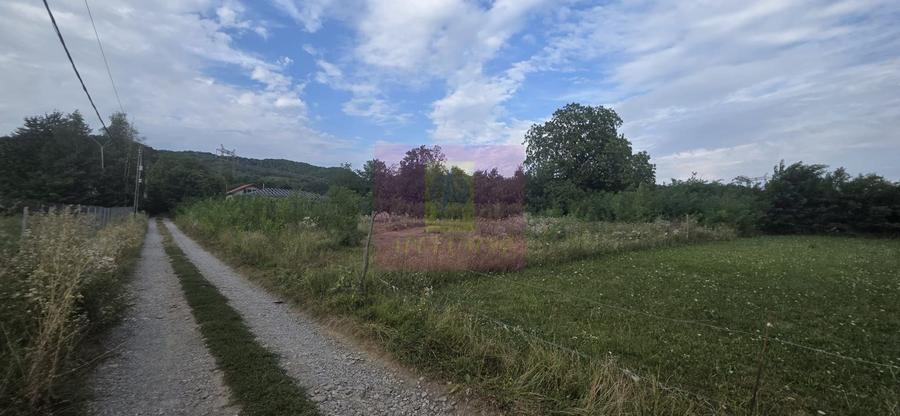 650 mp de liniste, natura si aer curat in Brebu, Prahova