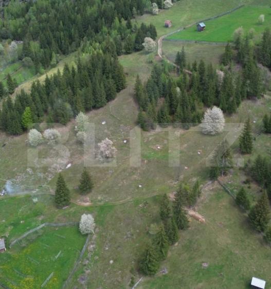 Teren intravilan si extravilan 23.000 mp, front 150 ml, Sadova - Bucovina