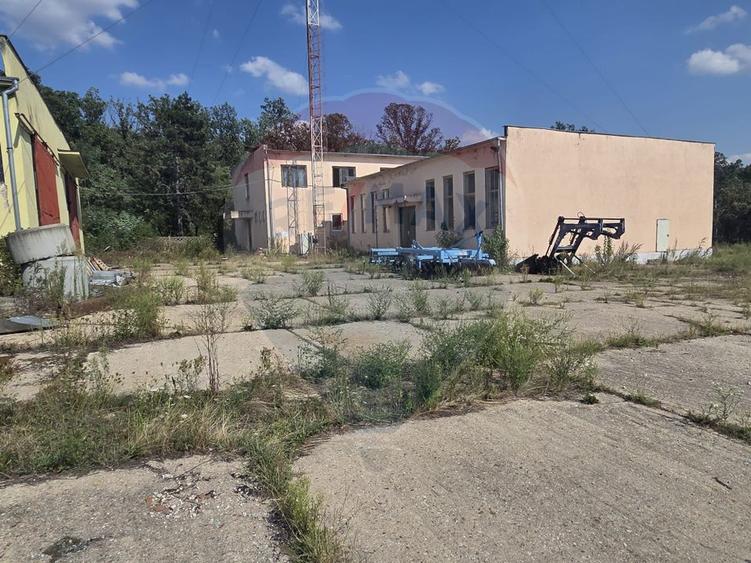 Spațiu industrial 15435 mp. de vânzare in Tinca.