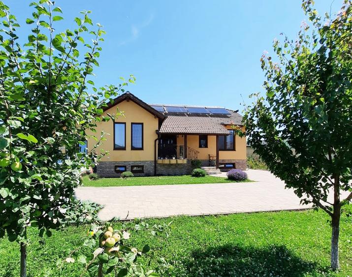 Vanzare casa noua in Sard -1000 mp teren