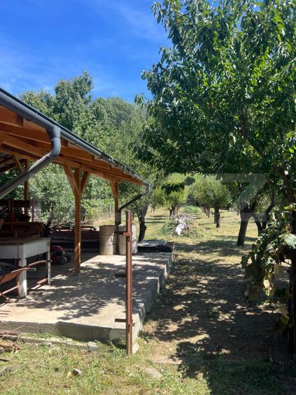 Casă spațioasă 250 mp + teren generos 1650 mp în zona Crasna