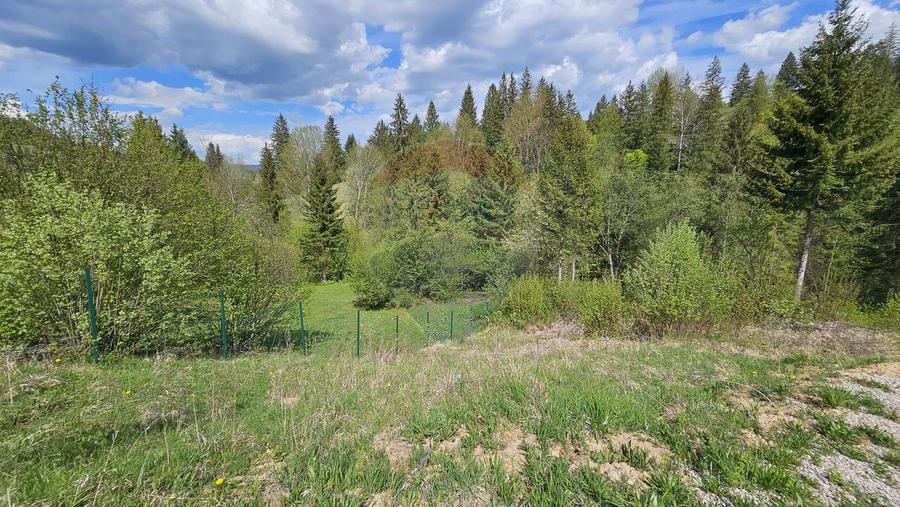 Teren 4048mp Campulung Moldovenesc, Strada Izvorul Alb, Suceava