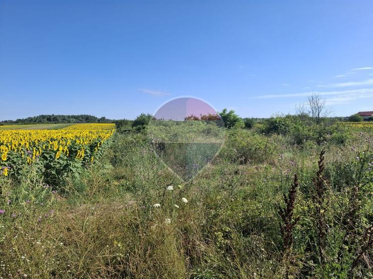 Vanzare teren extravilan 28800 mp, sat Posta, jud Giurgiu