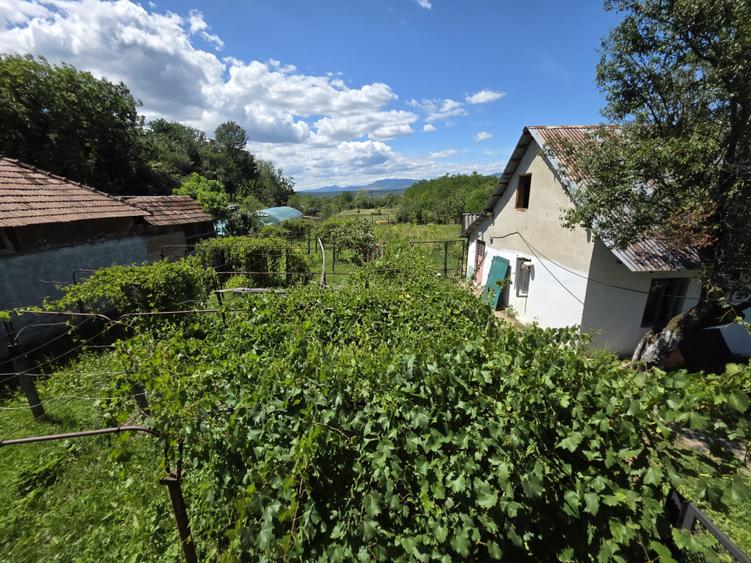 Casă renovată și Teren 2200 mp | Curtișoara, Bumbești-Jiu | Potențial Investiție