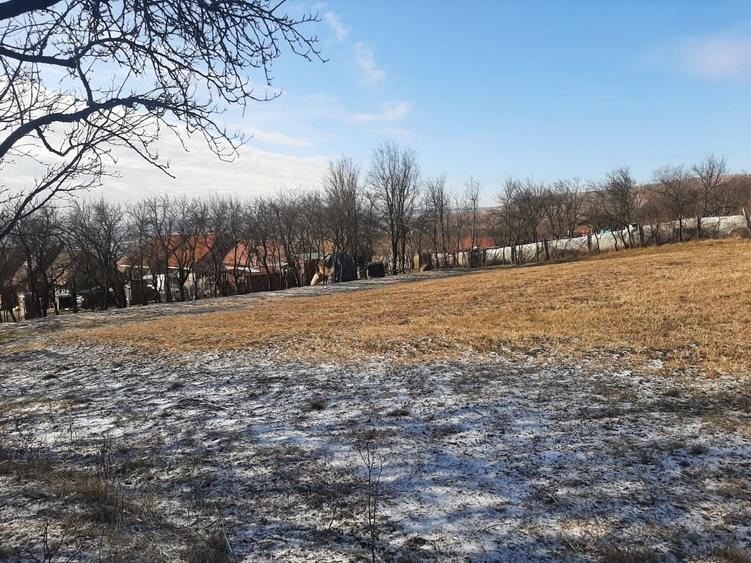 Teren cu utilitati si veche in Rediu