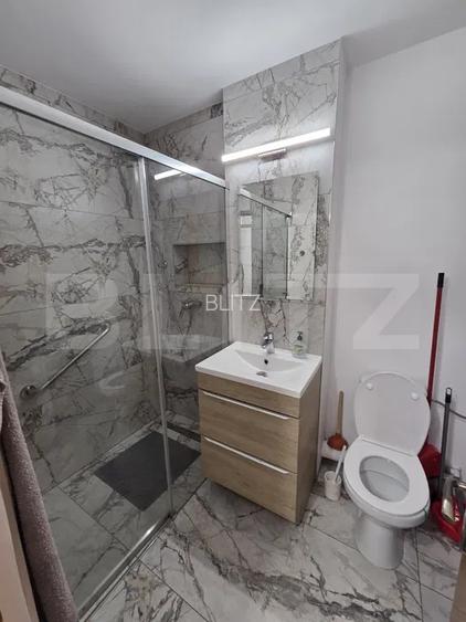 Apartament 1 camera, 42 mp, pet-friendly, zona Mehedinti