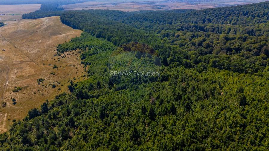 Teren 6,000mp Crizbav / Strada principala - 6