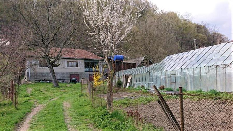 Casa si 3919 mp teren intravilan in Bucuresci, jud. Hunedoara