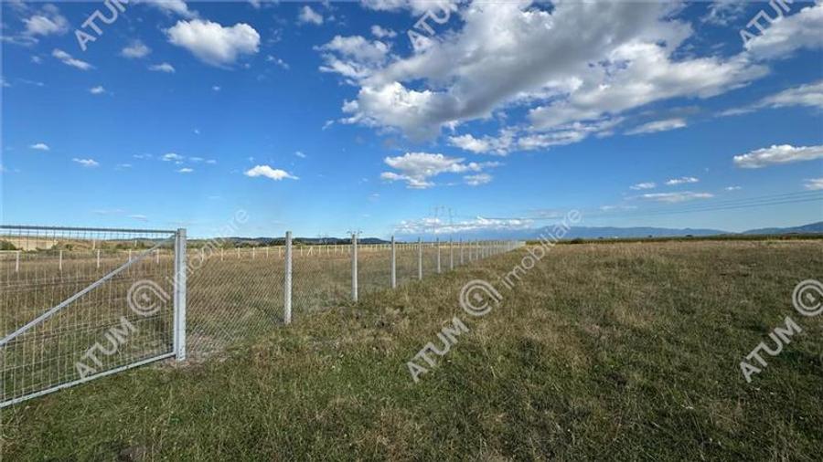 Teren 4200 mp situat in extravilanul zona Calea Surii Mici Sibiu