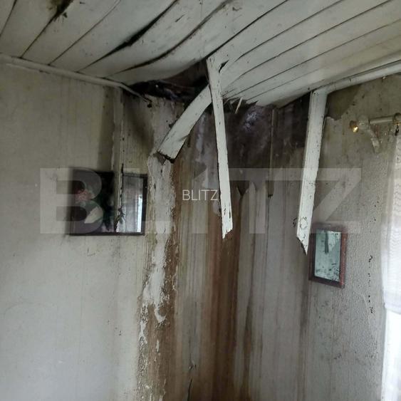 CASĂ DE RENOVAT PE TEREN DE 910 MP – ORBEASCA DE SUS - 14