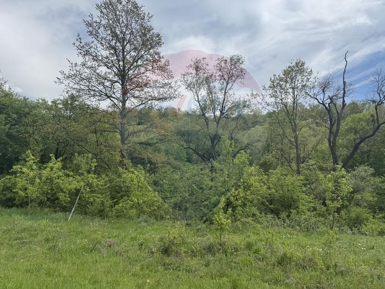 Proprietate OFF-GRID 5,76 Ha. Casa tradiționala lemn. Limită Cluj