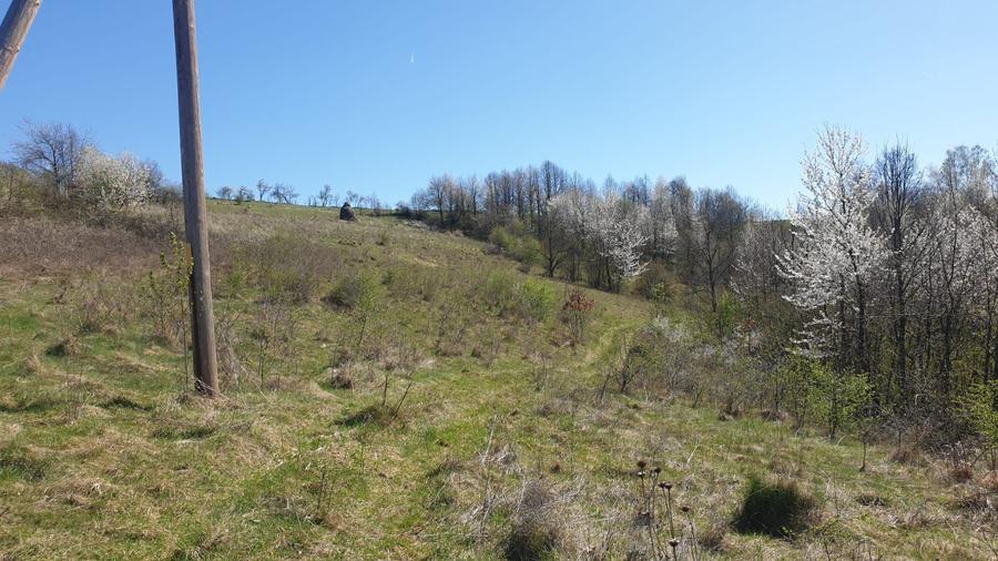 Teren cu panoramă fabuloasă, 10.059 mp, Roșia. 19.000 EUR. Comision 0