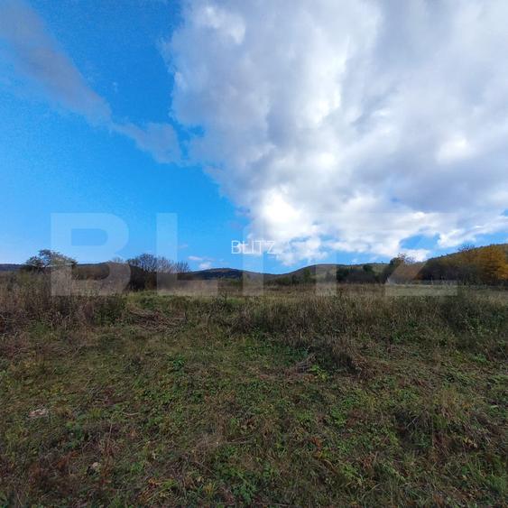 Oportunitate ! Teren intravilan, 1500 mp, sat LIvada , panorama !