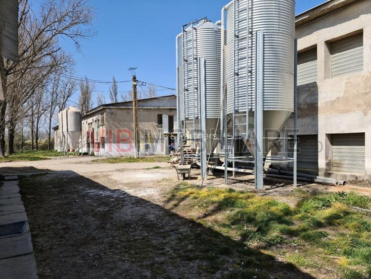 Ferma avicola populata, aparoape de Oradea - 4