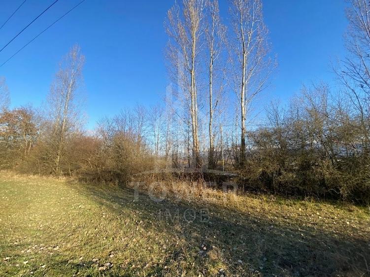 Teren de 7.500 mp de vânzare în Bradu, Avrig-COMISION 0% – lângă râul Olt.