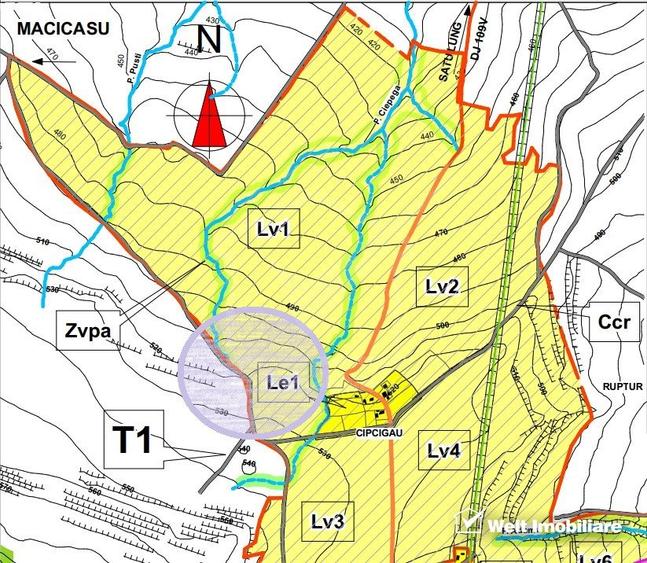 Teren in Padureni - Chinteni, 5800 mp, intravilan, Lv1 - viitoare constructii