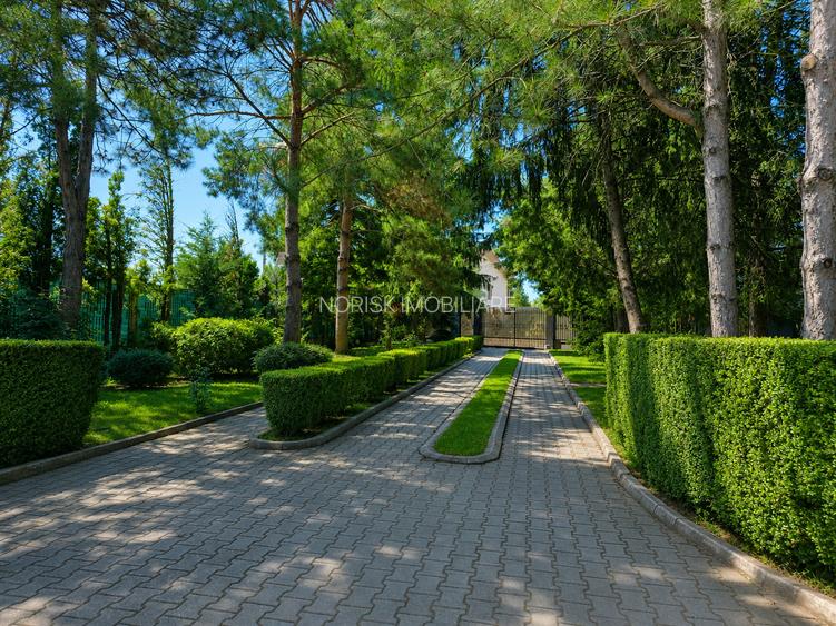 Lakefront Estate | 3.000 mp Teren | Ponton Privat | Snagov - 2