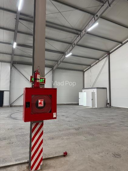 Hală industrială de închiriat, construcție nouă, neutilizată. - 3
