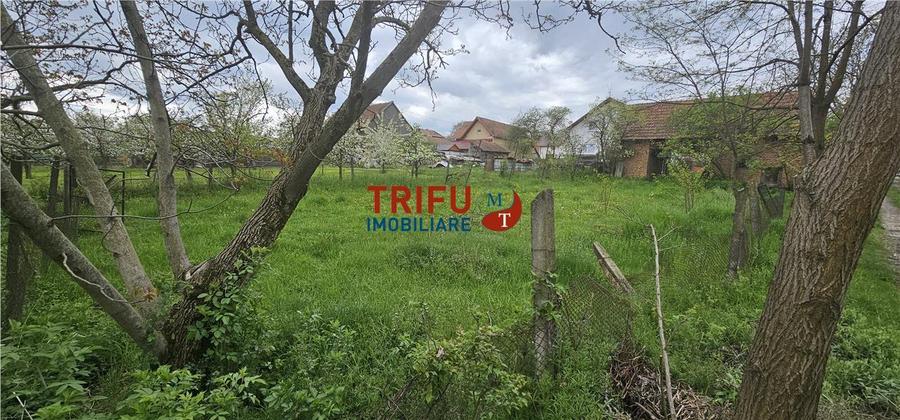 Casă veche + teren 3100 mp | Galda de Jos | Acces râu