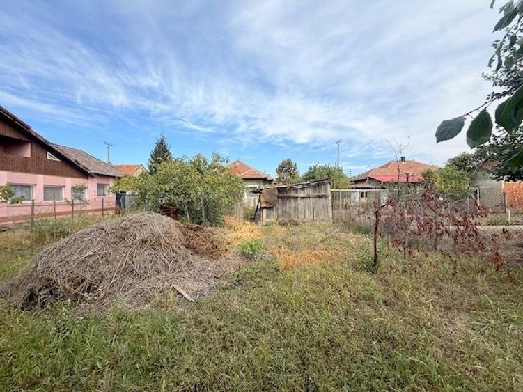 Casă individuală de vânzare, Mircea cel Bătrân, Timișoara