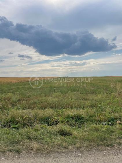 Teren extravilan 7.200mp, Bogdanesti-Horlesti, deschidere la 2 drumuri