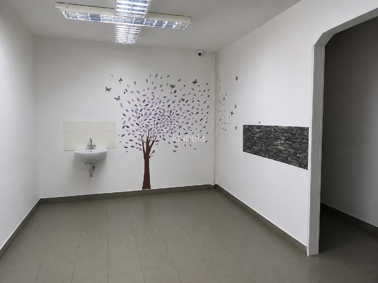 Spatiu comercial Pta Voievozilor Alexandru cel Bun 40pm - 3