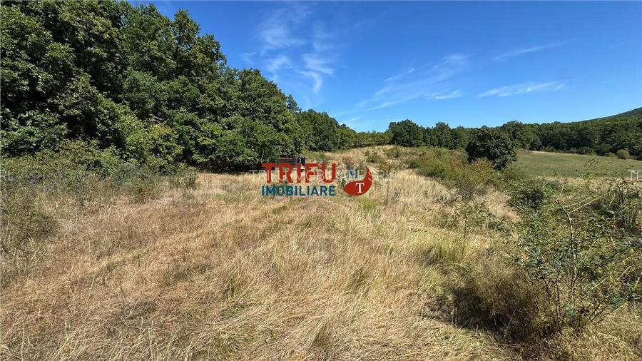 Teren de vanzare pentru cabana langa padure in Ampoita - 2