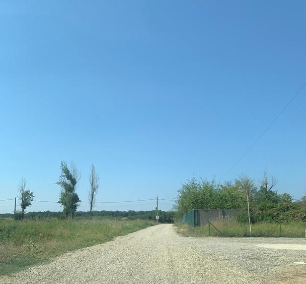DN1  Snagov  - Peris Niculesti  Vanzare Teren intravilan