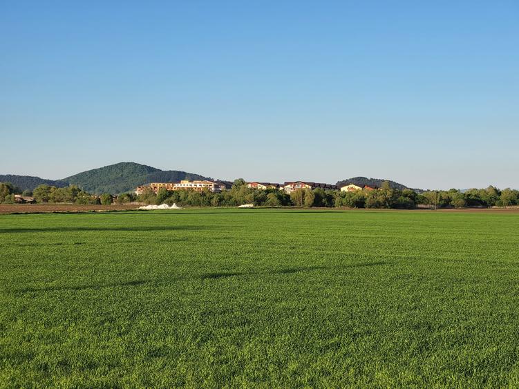 Teren intravilan pentru dezvoltare