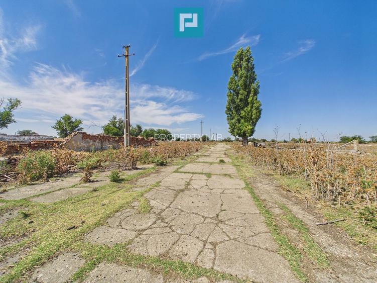 Teren intravilan 146.866 mp | Jimbolia - 14