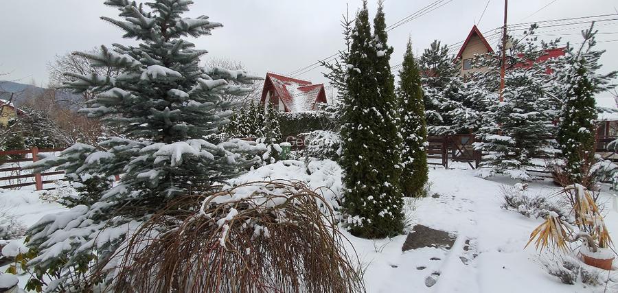 Vila de vanzare Valea Doftanei- Brebu - Campina - 3