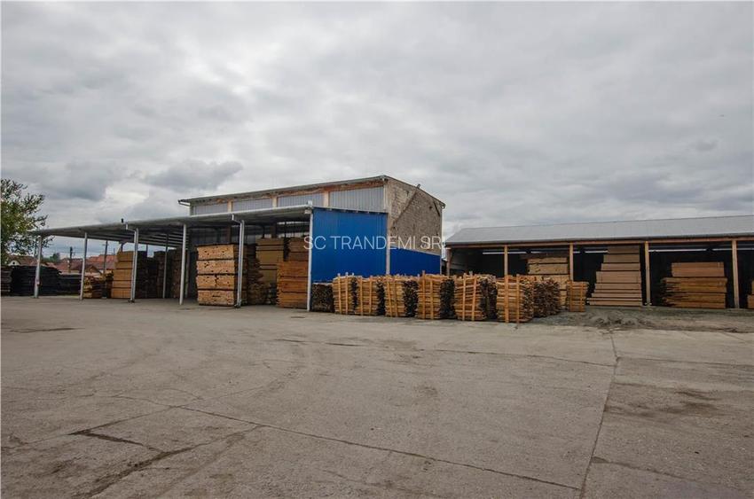 Hala industriala de 2700mp cu 3,1 ha teren intravilan in Miercurea Sibiului - 27