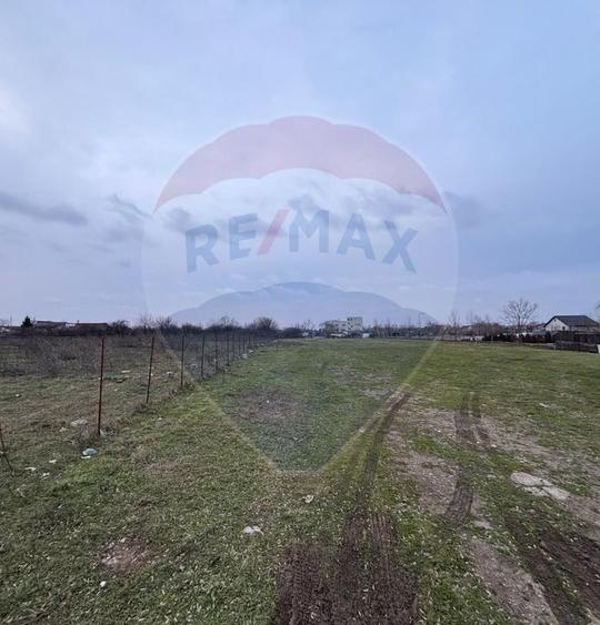 Investiție Sector 5: 2.819 mp | P+2 | Drumul Movila | Sub 100€/mp