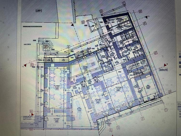 Proprietate HoReCa, 300 mp, zona Central