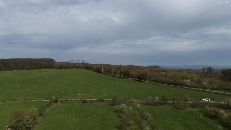 Teren intravilan de vânzare în Mitocu Dragomirnei | 5.800 mp | 43 m de